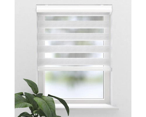 Fönster med monterad dubbel rullgardin för ljusreglering.