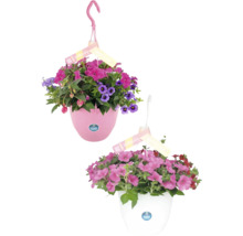 Två hängande blomkrukor med olika blommor