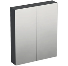 Spegelskåp med två dörrar för badrummet