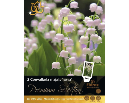 Liljekonvalj Premium Selection Perenn jordstam Convallaria majalis 'Rosea' 2st