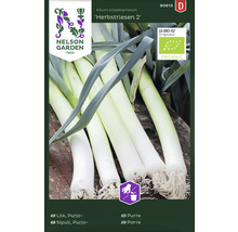 Purjolök ''Herbstriesen 2'' fröförpackning