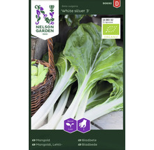 Mangold fröpaket med Nelson Garden logotyp