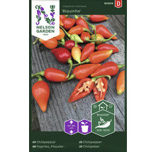 Chilifrö NELSON GARDEN Chili Biquinho