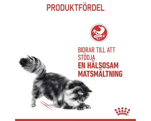 Symbol för att stödja en hälsosam matsmältning i kattmat
