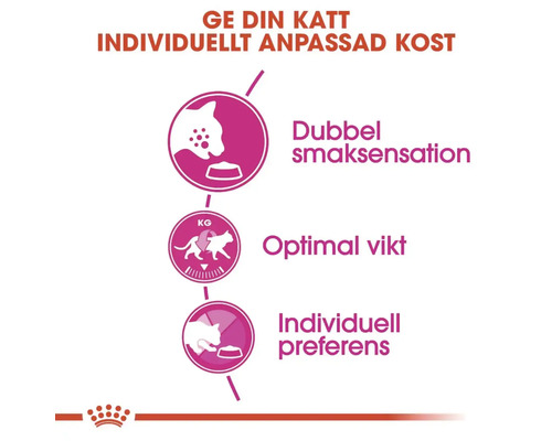 Kattmat fördelar: dubbel smaksensation, optimal vikt, individuella preferenser