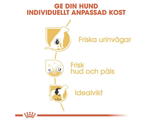 Information om fördelarna med Royal Canin hundfoder för friska urinvägar, hud och päls samt viktkontroll