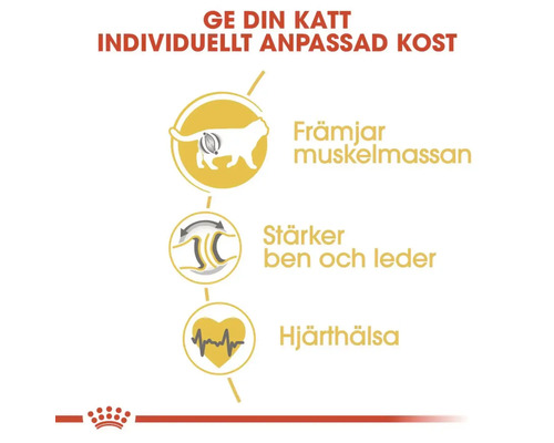 Fördelar med kattmat: Främjar muskelmassa, stärker ben och leder, stödjer hjärthälsan.