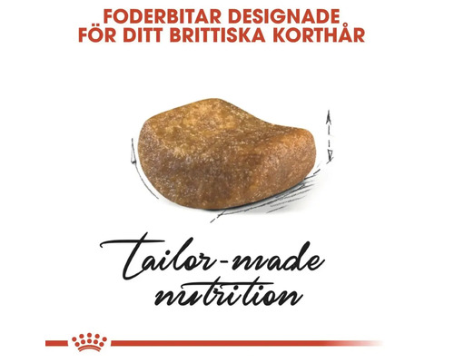 Enstaka torrfoderbit för brittiska korthårskatter