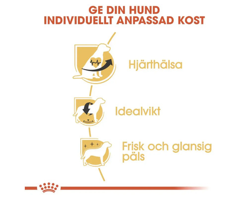 Royal Canin hundnäring fördelar för hjärthälsa, idealvikt och frisk päls