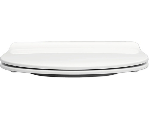 Toalettsits av sanitetskeramik