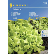 Kiepenkerl Grünetta plocksallad fröpaket