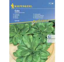 Kiepenkerl Gala vintersallat fröpaket