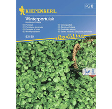 Kiepenkerl Fröpaket vinterportlak
