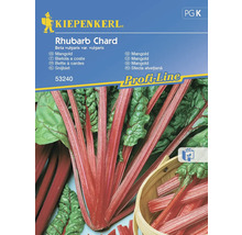 Kiepenkerl logotyp, fröpaket för mangold Rubinette