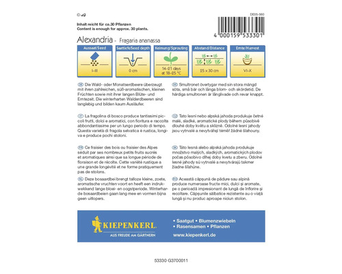 Kiepenkerl Alexandria Fragaria Ananassa jordgubbsfröförpackning