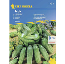 Kiepenkerl Twigy inläggningsgurka fröförpackning