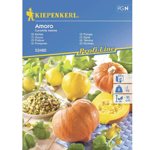 Kiepenkerl Amoro pumpafröpaket