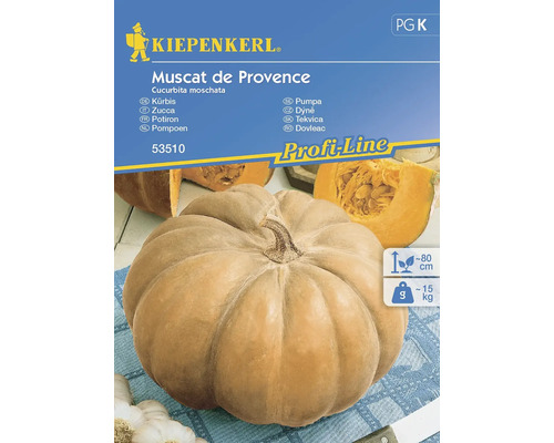 Pumpafrön KIEPENKERL Muscat de Provence (Musquée de Provence)