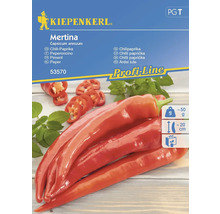 Kiepenkerl Mertina Chilipeppar fröpaket
