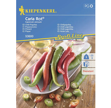 Kiepenkerl Carla Rot Chilipeppar fröpaket