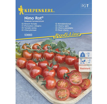 Kiepenkerl Nimo Rot Fröpaket med körsbärstomater