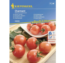Kiepenkerl Charmant Fröpaket körsbärstomat