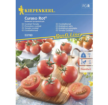 Kiepenkerl Curaso Rot Cocktailtomatfrön