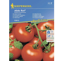 Kiepenkerl Alido Rot Salladstomat Fröpaket
