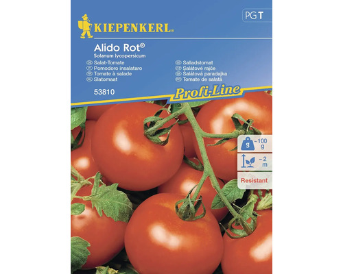 Tomatfrön KIEPENKERL salladstomat Alido Rot® (Bocati F1)
