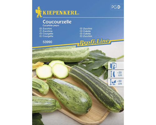Zucchinifrön KIEPENKERL Coucourzelle (Verte non coureus)