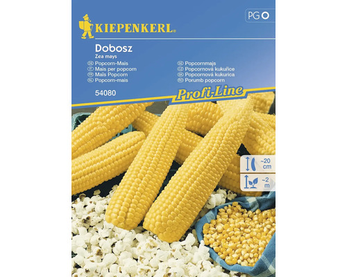 Popcornmajsfrön KIEPENKERL Dobosz F1
