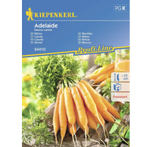 Kiepenkerl Adelaide Morot fröpaket
