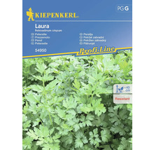 Kiepenkerl Laura persilje fröpaket, resistent upp till cirka 40 cm