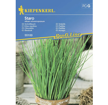 Kiepenkerl Gräslök Staros fröpaket