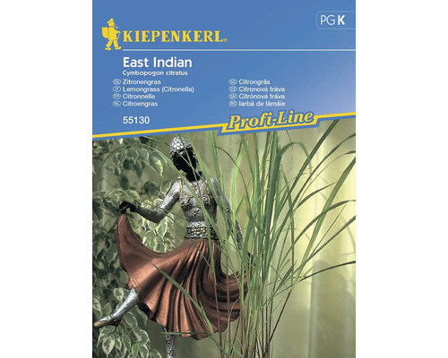 Citrongräs KIEPENKERL East Indian