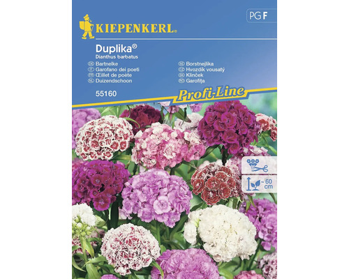 Borstnejlikefrön KIEPENKERL Duplika® Mix Super Duple