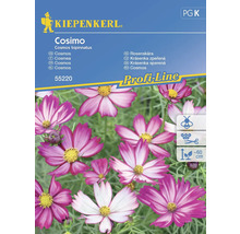 Kiepenkerl Logo. Förpackning Cosimo Cosmos blomfrön med illustration av Cosmos blommor.