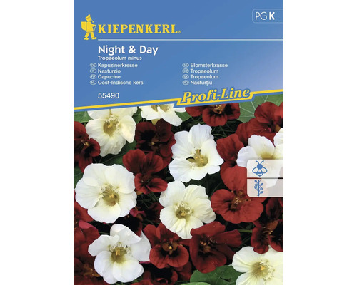 Krassefrön KIEPENKERL Night & Day