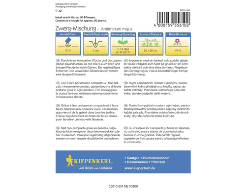 Zwerg-Mischung Antirrhinum majus fröpåse