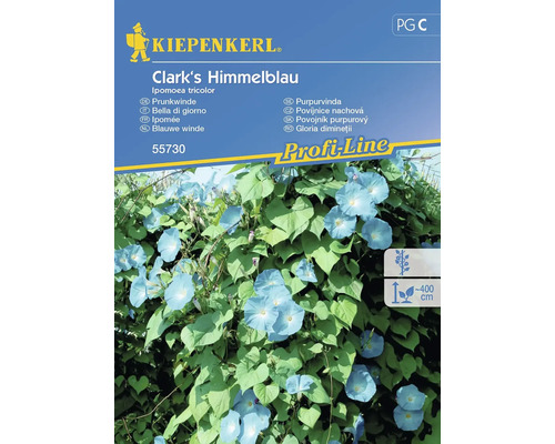 Purpurvindafrön KIEPENKERL Clark's Himmelblau