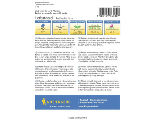 Fröpåse Herbstwald Rudbeckia hirta