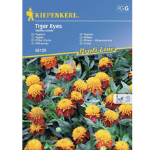 Kiepenkerl Tagetes patula Tiger Eyes fröförpackning