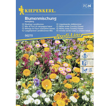 Kiepenkerl Lågväxande vildblommor, flerårig blomsterblandning