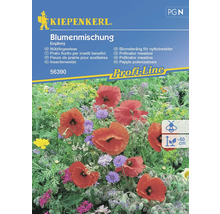Kiepenkerl blomsterblandning ettårig för blomsteräng för nyttoinsekter