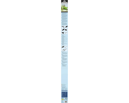 Akvarium växtnålset för akvarievård