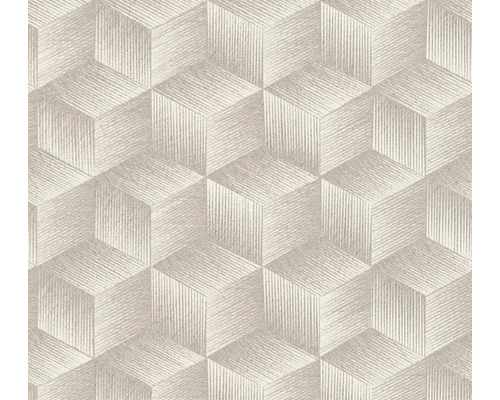 Tapet A.S CRÉATION 3D grafik grå/vit 10,05x0,53m Tapet med geometriskt kubmönster