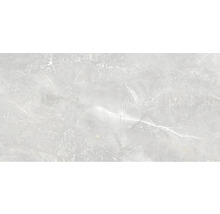 Grå kakelplatta med marmorutseende