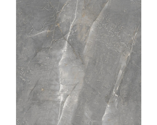 Grå kakelplatta med marmorutseende