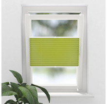 Fönster med plisségardin