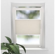 Fönster med plisségardin för insynsskydd och solskydd